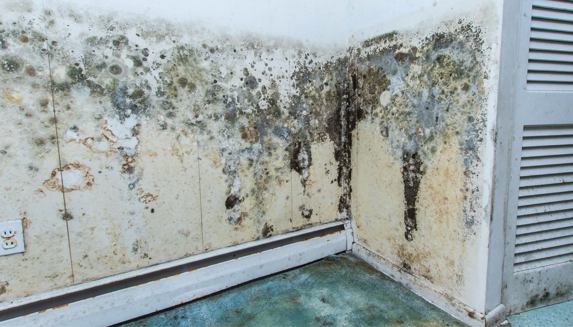 A mold remediation team using specialized techniques to remove mold damage and control odors in a Miami Gardens property, with a focus on safety and efficiency